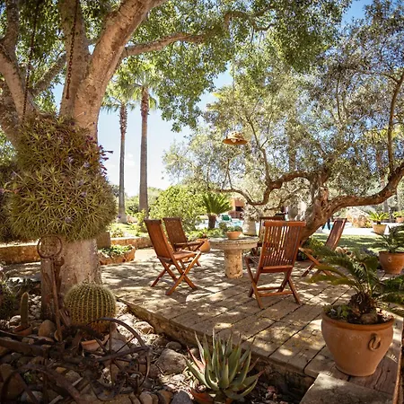 Villa Finca Can Trius, Oase Ganz Nah An Palma de Mallorca