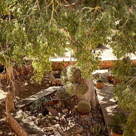 Finca Can Trius, Oase Ganz Nah An * Palma de Mallorca